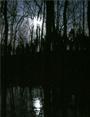 MISSOURI PARANORMAL RESEARCH profile picture