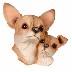 Chihuahua and Small Dog Rescue profile picture