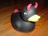 Evil Rubber Duck profile picture