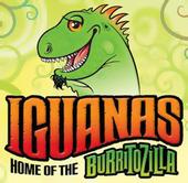 IGUANAS profile picture