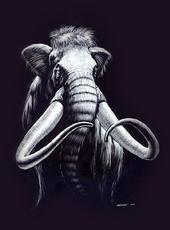 Mammoth Music profile picture