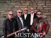 Official Space-The Mustang profile picture