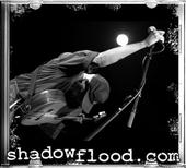 Shadowflood Photography profile picture