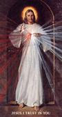 Divine Mercy Youth profile picture