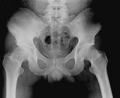 Black Pelvis profile picture