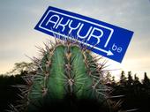 Akyur profile picture