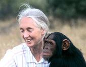 dr_jane_goodall