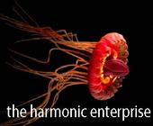 the Harmonic Enterprise profile picture