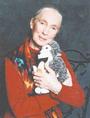 Dr. Jane Goodall profile picture