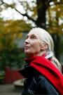 Dr. Jane Goodall profile picture