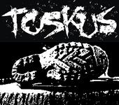 toskus profile picture