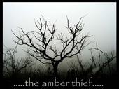 THE AMBER THIEF profile picture