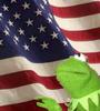 FreedomFroggie profile picture