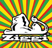 Ziggi Â® profile picture