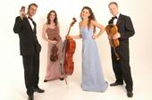 Carducci Quartet profile picture