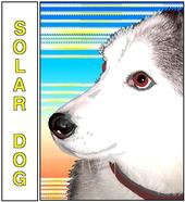 solar dog records profile picture