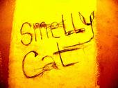 Smelly Cat profile picture