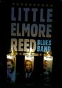 Little Elmore Reed Blues Band profile picture