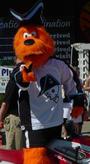 Milwaukee Admiral's Mascot Roscoe profile picture