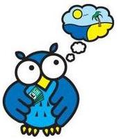 travelowl