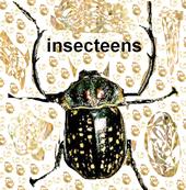 insecteens profile picture