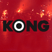 KONG profile picture