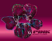 pmf_remixes profile picture