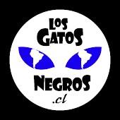 LOS GATOS NEGROS profile picture