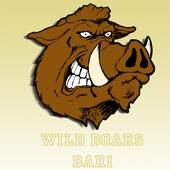 WILD BOARS profile picture