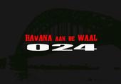 Havana aan de Waal profile picture