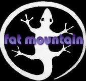 FAT MOUNTAIN profile picture