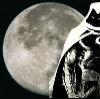 Moonknight31 profile picture