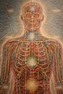 CoSM/Alex Grey profile picture