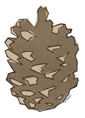 pinecone2k3 profile picture