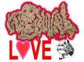 INTESTINAL LOVE profile picture