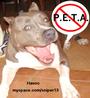 The Truth About PeTA profile picture