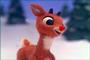 Rudolph profile picture