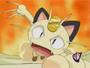 Meowth / Nyassu / Nyasssssuu profile picture