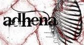 ADHENA profile picture