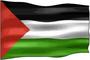 Palestine profile picture