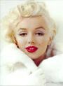 Marilyn profile picture