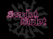 Scarlet Violet Street Team profile picture