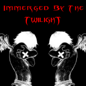 Immerged By Twilight - Cherche bassiste + chanteur profile picture