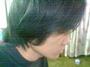 PAUL(",) profile picture