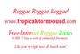 Internet Reggae Radio AT TropicalStormSound.com profile picture