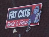 fat cats music & video profile picture