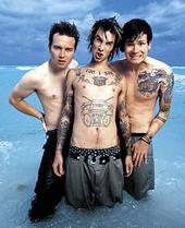 blink182brazil