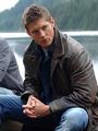 Jensen Acklesâ„¢ profile picture