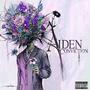 Aiden - Official Swedish Street Team profile picture