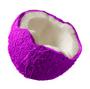 Purple Coconut Productions profile picture